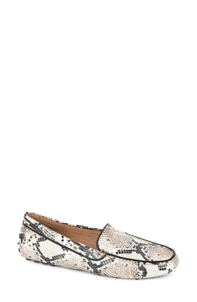 Shop Patricia Green Jill Piped Driving Shoe In Natural Snake Leather