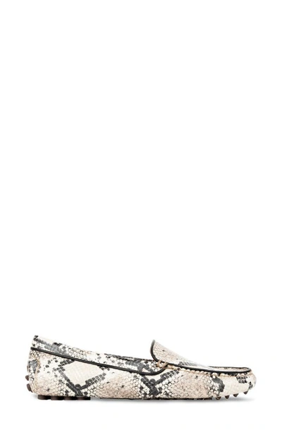 Shop Patricia Green Jill Piped Driving Shoe In Natural Snake Leather