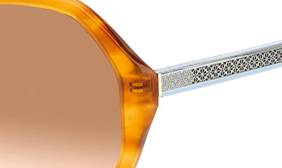 Shop Kate Spade Waverly 57mm Gradient Round Sunglasses In Brown Horn / Brown Gradient