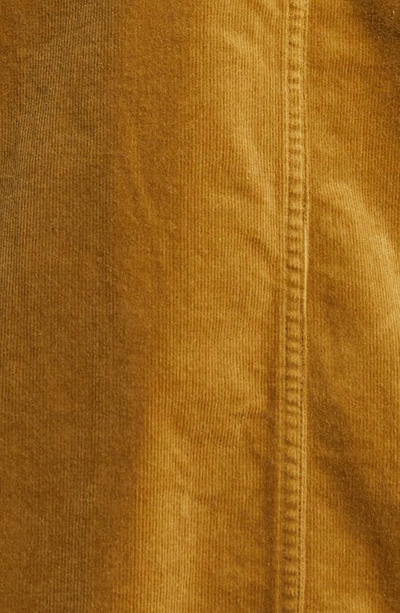 Shop Eileen Fisher Classic Collar Organic Cotton Corduroy Jacket In Butternut