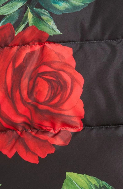 Shop Dolce & Gabbana Rose Print Down Puffer Jacket In Hn3vr Rose Rosse Fdo Nero