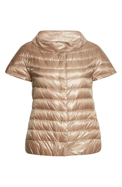 Shop Herno Emilia Cap Sleeve Quilted Down Jacket In Taupe