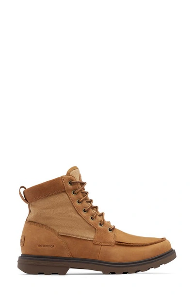 Shop Sorel Carson Moc Waterproof Boot In Camel Brown/ Umber