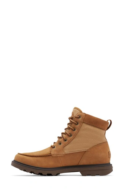 Shop Sorel Carson Moc Waterproof Boot In Camel Brown/ Umber