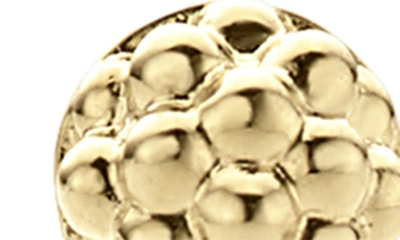 Lagos Caviar Bead Teardrop Earrings In Gold