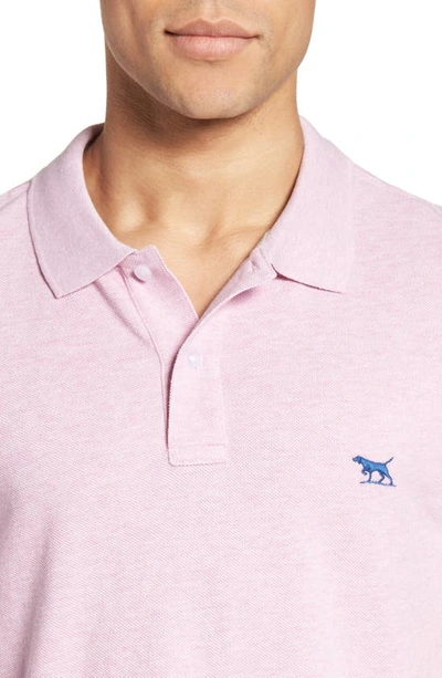 Shop Rodd & Gunn Gunn Piqué Sports Fit Cotton Polo In Lotus