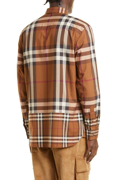 Shop Burberry Causton Contrast Check Button-down Shirt In Dark Birch Brown Chk