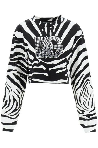 Shop Dolce & Gabbana Logo Embellished Zebra In Multi