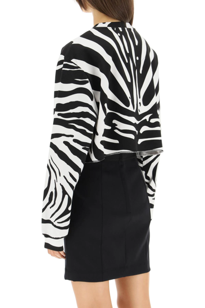 Shop Dolce & Gabbana Zebra Print Cropped Sweatshirt With Crystal Logo In White,black