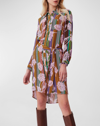 Shop Diane Von Furstenberg Prita Striped Floral-print Shirtdress In Floral Stripe