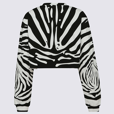 Shop Dolce & Gabbana Zebra Print Sweatshirt