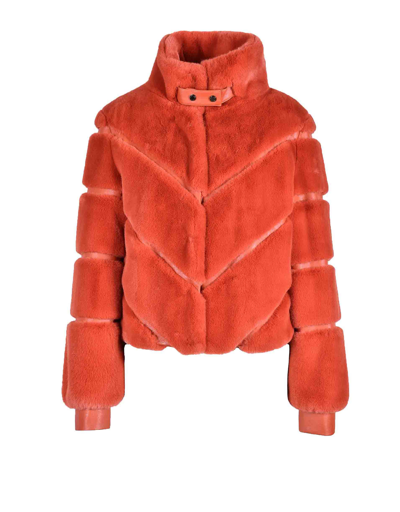 Shop Patrizia Pepe Coats & Jackets Women's Orange Jacket