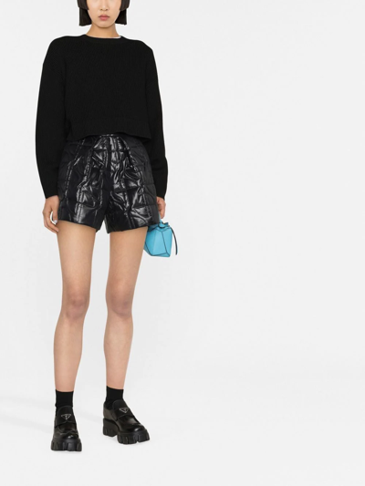 Shop Patou Jp Quilted Shorts In Schwarz