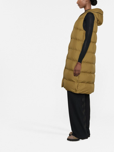 Woolrich Quilted Padded Gilet In Grün