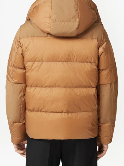 Shop Burberry Detachable-sleeves Hooded Puffer Jacket In Braun