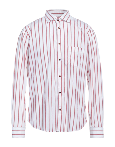 Shop Borsa Man Shirt Rust Size 15 ¾ Cotton In Red