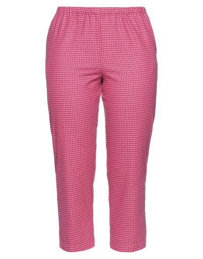 Shop Laboratorio Woman Pants Fuchsia Size 6 Cotton, Viscose, Elastane In Pink