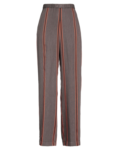 Shop Alessia Santi Woman Pants Brown Size 6 Acetate, Viscose, Polyester