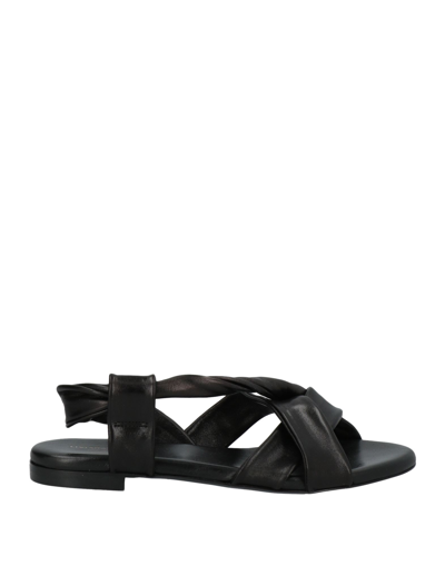 Shop Liviana Conti Woman Sandals Black Size 7 Soft Leather