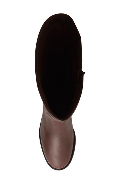 Shop David Tate Superior Waterproof Knee High Boot In Brown