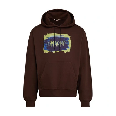 Shop Marni Hoodie In Cacao