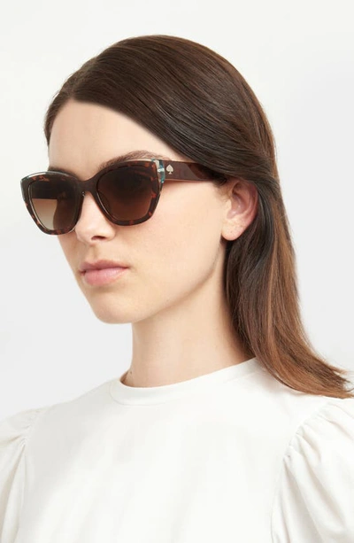 Kate Spade Yolanda 51mm Polarized Gradient Cat Eye Sunglasses In Havana / Brown Polar