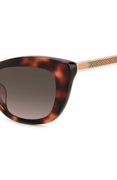 Shop Kate Spade Merida 54mm Cat Eye Sunglasses In Havana / Brown Gradient