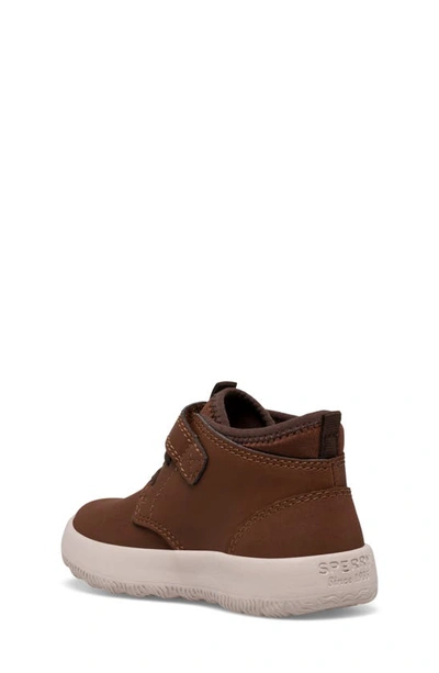 Shop Sperry Coastal Break Chukka In Brown