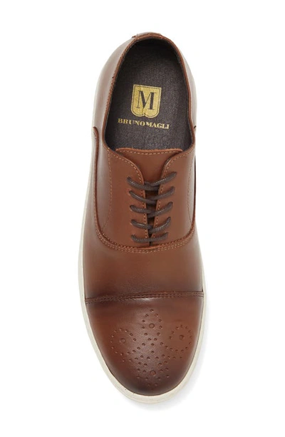 Bruno Magli Stefanucci Oxford Sneaker In Cognac ModeSens