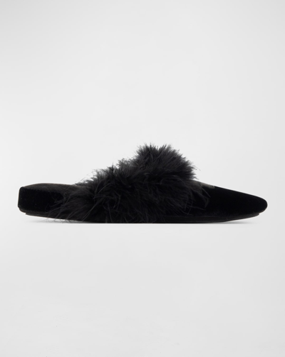 Shop Patricia Green Party Feather Slippers In Black