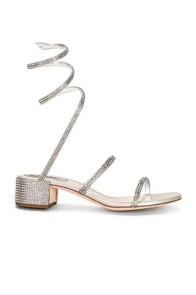 Shop René Caovilla Cleo 40mm Low Lace Up Sandal In Grey & Silver Shade