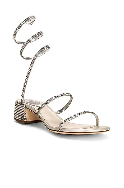 Shop René Caovilla Cleo 40mm Low Lace Up Sandal In Grey & Silver Shade