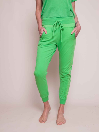 Suzy D Ultimate Joggers Neon Green *limited Edition* | ModeSens