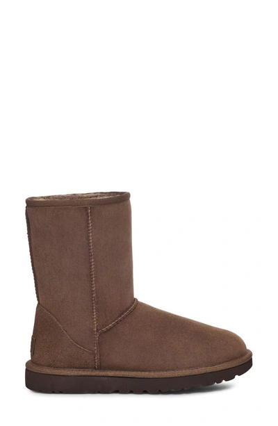 Shop Ugg Classic Ii Genuine Shearling Lined Short Boot In Burnt Cedar