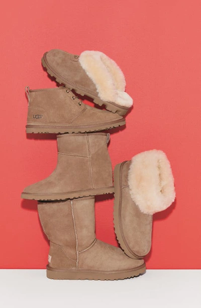 Ugg Classic Short Ii High Heels Ankle Boots In Brown Suede In Burnt Cedar