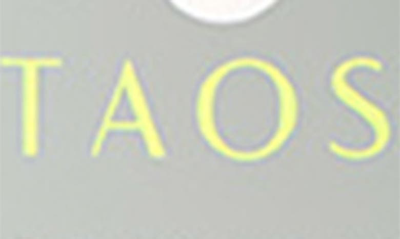 Taos Aer Next-level Deodorant In Ginger Grapefruit