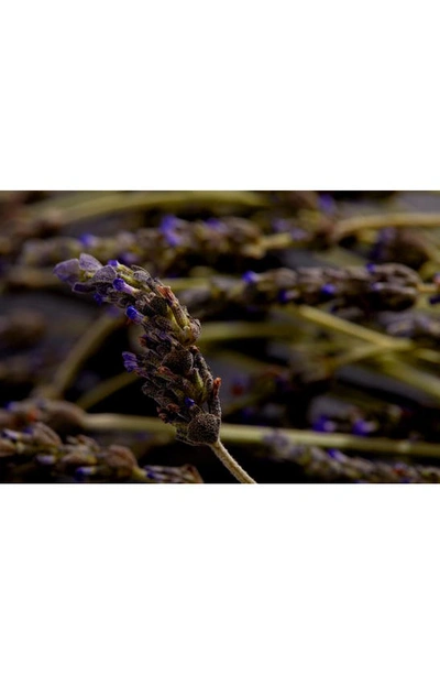 Taos Aer Next-level Deodorant, 1.7 oz In Lavender Myrrh