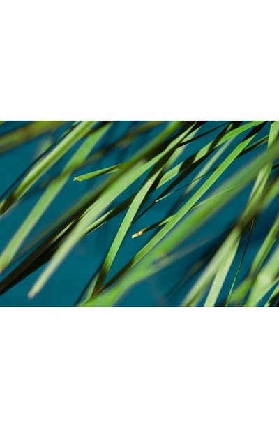 Taos Aer Next-level Deodorant, 1.7 oz In Palo Santo Blood Orange