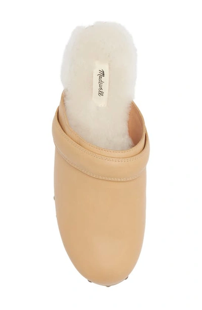 Shop Madewell The Cecily Genuine Shearling Lined Clog In Desert Dune