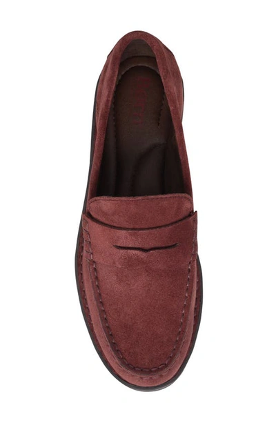 Brn Carrera Suede Loafer In Burgundy Suede