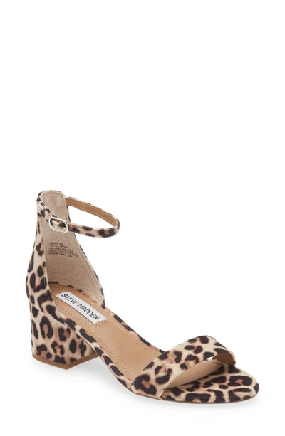 Shop Steve Madden Irenee Ankle Strap Sandal In Leo Velvet