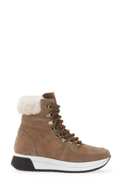 Shop Cordani Layton Genuine Shearling Lined Boot In Taupe Suede