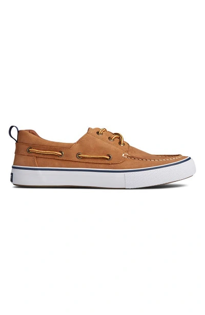 Shop Sperry Bahama 3-eye Boat Shoe In Tan/ White