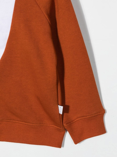 Stella Mccartney Brown Sweatshirt For Baby Boy With Fox In Braun