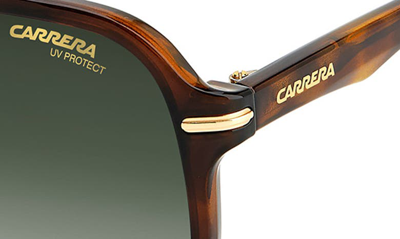 Shop Carrera Eyewear 60mm Gradient Square Sunglasses In Havana / Green Shaded