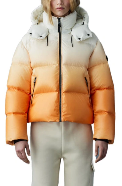 Shop Mackage Evie Oversize 800 Fill Power Down Puffer Jacket In Sunset