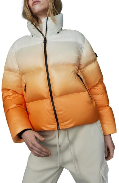 Shop Mackage Evie Oversize 800 Fill Power Down Puffer Jacket In Sunset