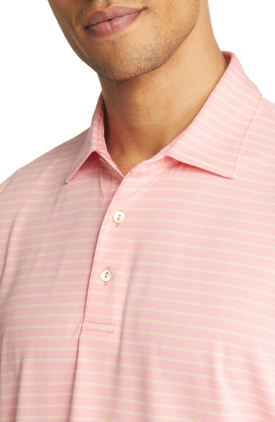 Shop Peter Millar Drum Stripe Performance Polo In Coral Crush