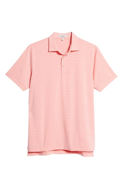 Shop Peter Millar Drum Stripe Performance Polo In Coral Crush