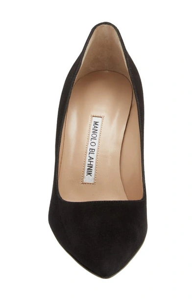 Manolo Blahnik Bb Pointed Toe Pump In Black